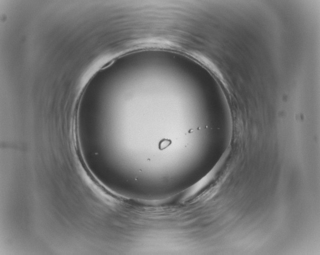 X0000070371391200606161306