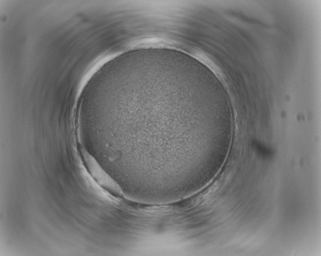 X0000070371392200606161306