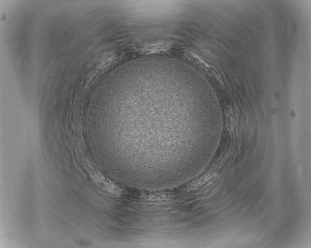 X0000070371393200606161305