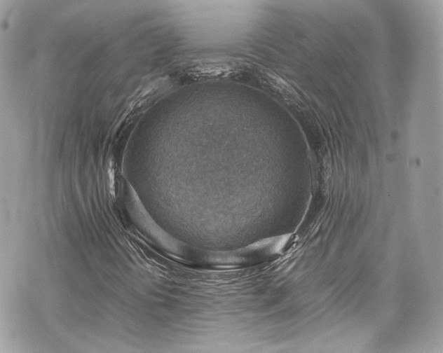 X0000070371394200606161305