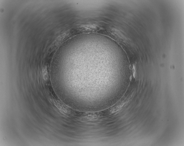 X0000070371395200606161305