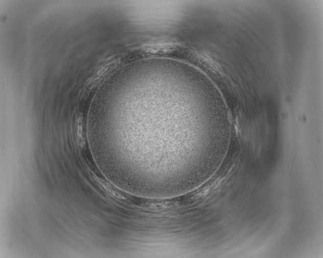 X0000070371396200606161305