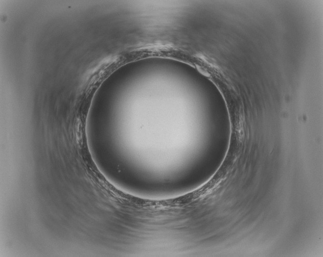 X0000070371398200606161305