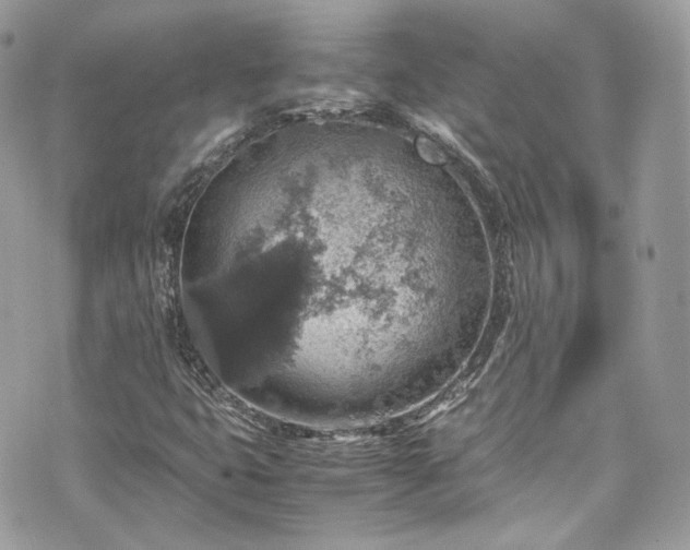 X0000070371399200606161305