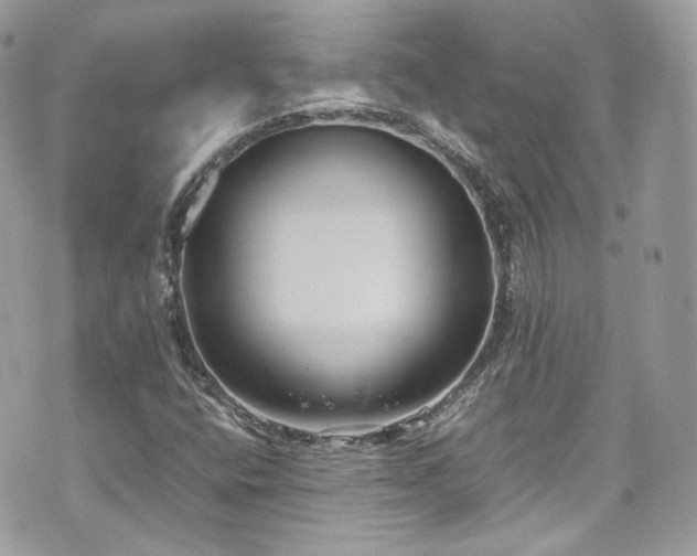 X0000070371400200606161305