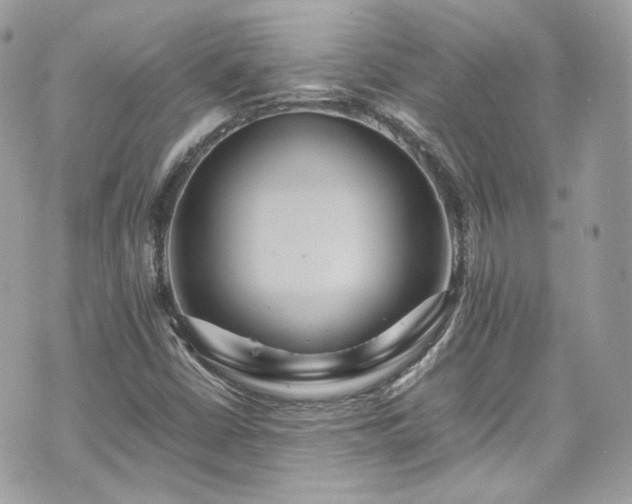 X0000070371402200606161305