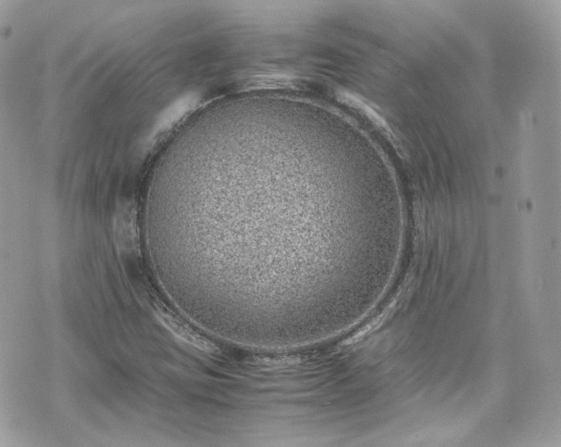 X0000070371403200606161305