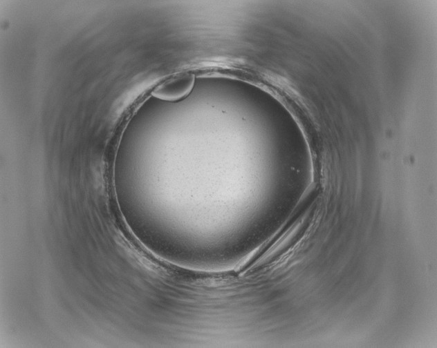 X0000070371404200606161305