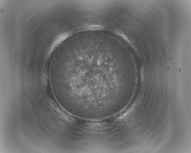 X0000070371405200606161305