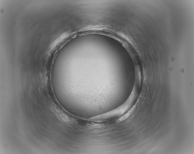 X0000070371406200606161305