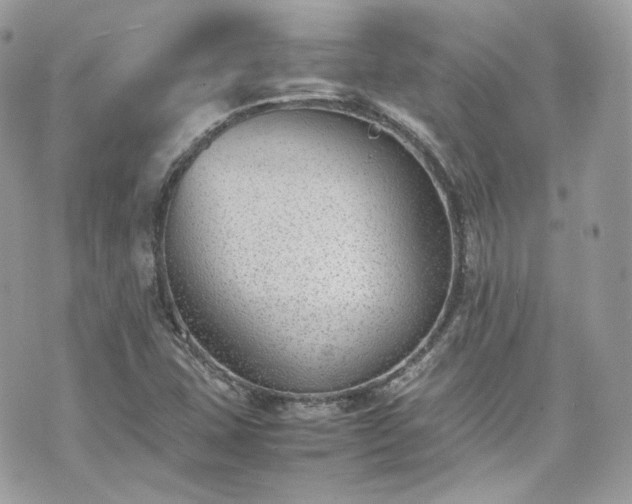 X0000070371407200606161305