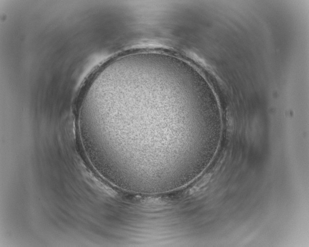 X0000070371408200606161305