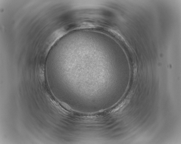 X0000070371409200606161305