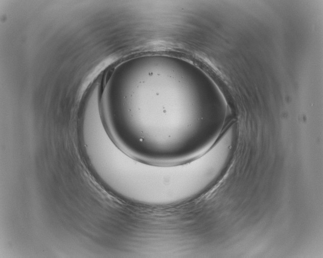 X0000070371410200606161305