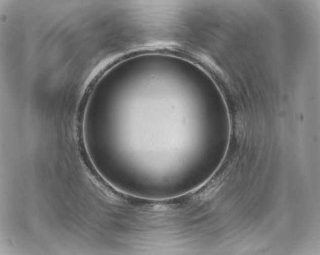 X0000070371412200606161305