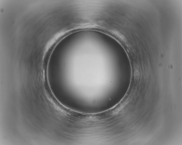 X0000070371414200606161305