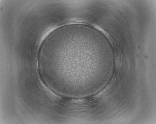 X0000070371415200606161305