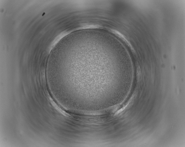 X0000070371417200606161305