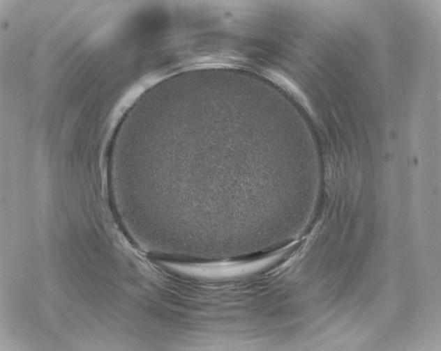 X0000070371419200606161305