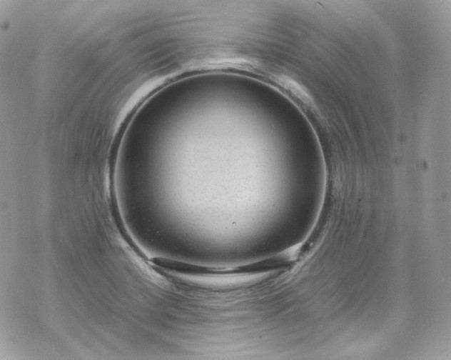 X0000070371420200606161305