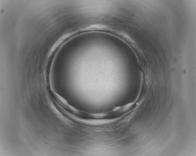 X0000070371422200606161305