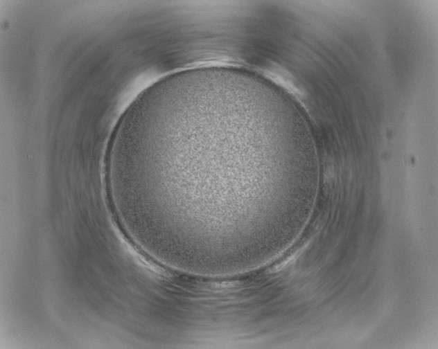 X0000070371423200606161305