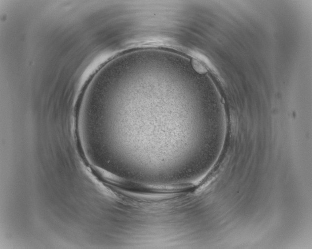 X0000070371424200606161305