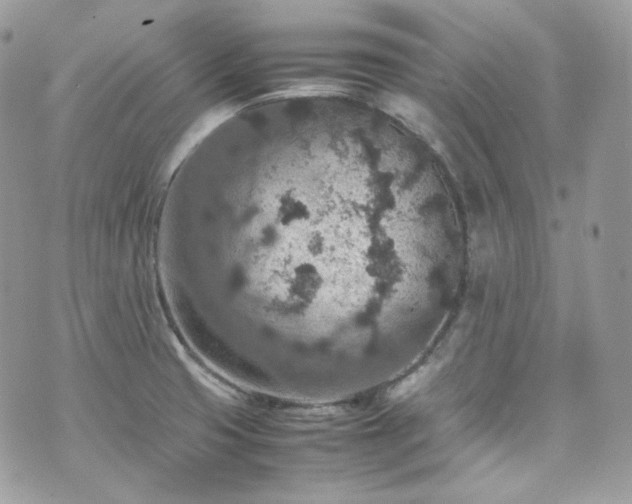 X0000070371425200606161305