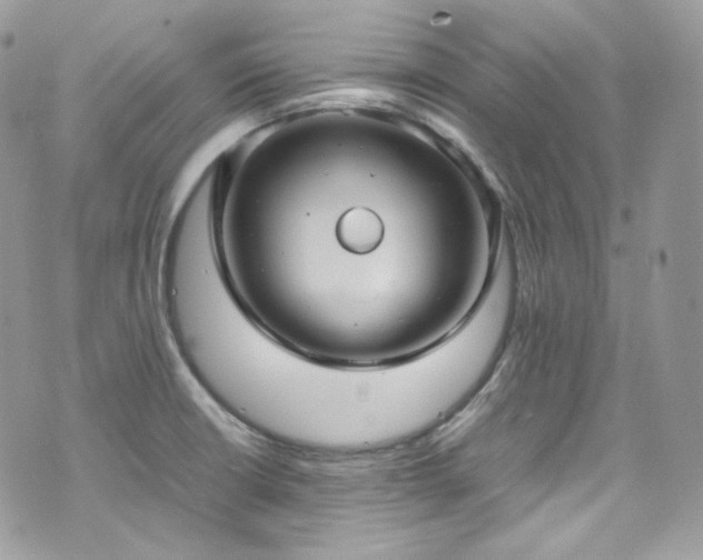 X0000070371426200606161305