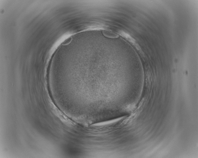 X0000070371427200606161305