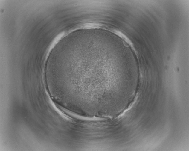 X0000070371429200606161306