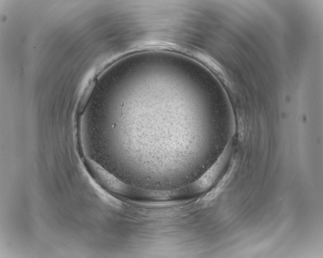 X0000070371430200606161306