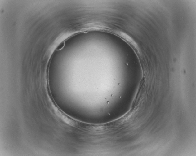 X0000070371431200606161306