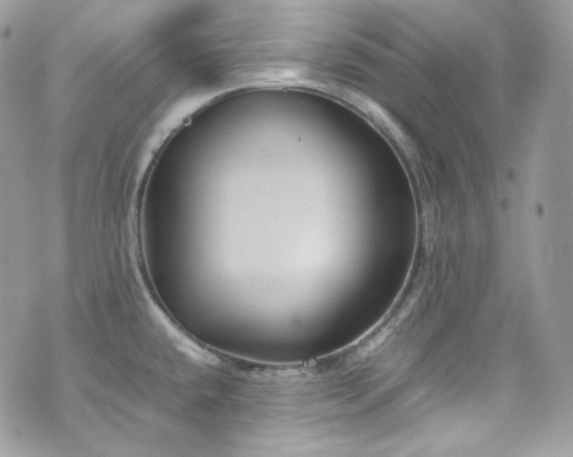 X0000070371432200606161306