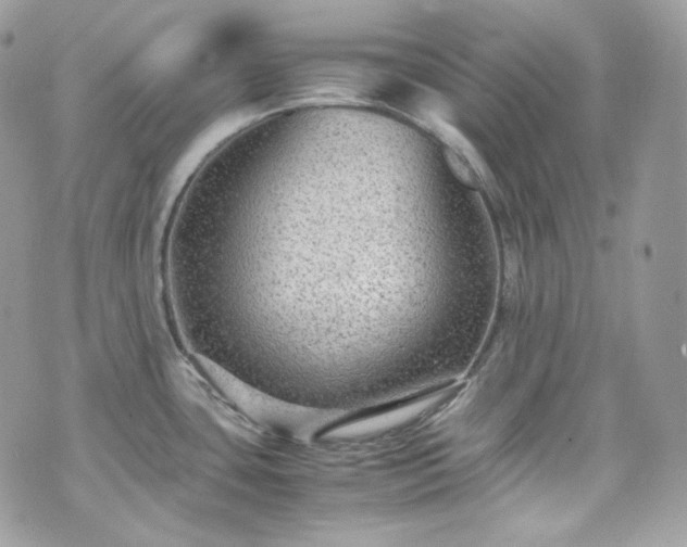 X0000070371435200606161306