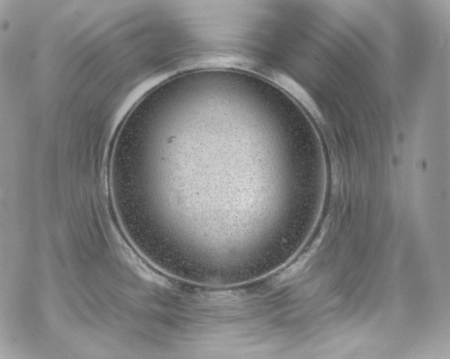 X0000070371436200606161306