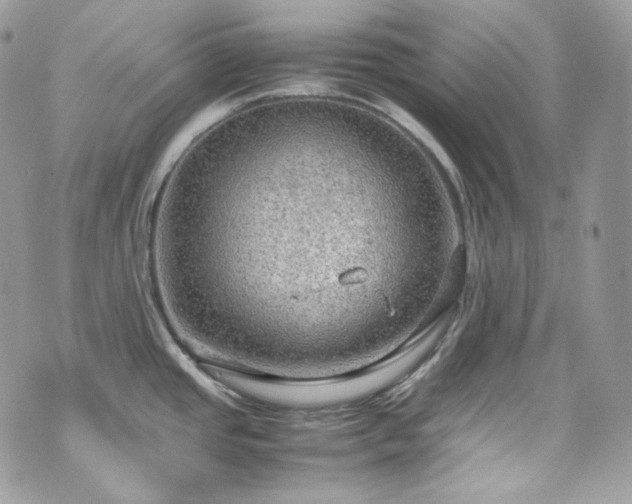 X0000070371437200606161306