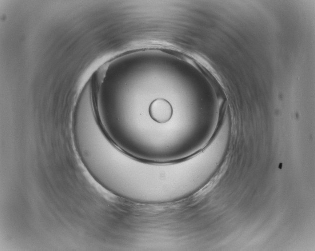 X0000070371438200606161306