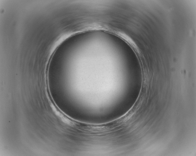 X0000070371439200606161306