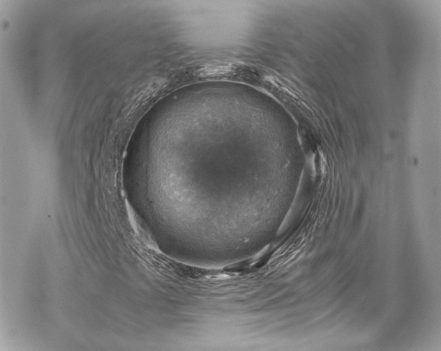 X0000070371441200606161305