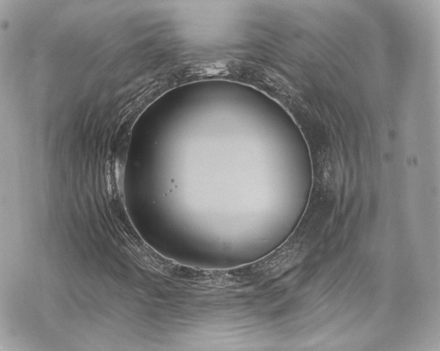 X0000070371442200606161305