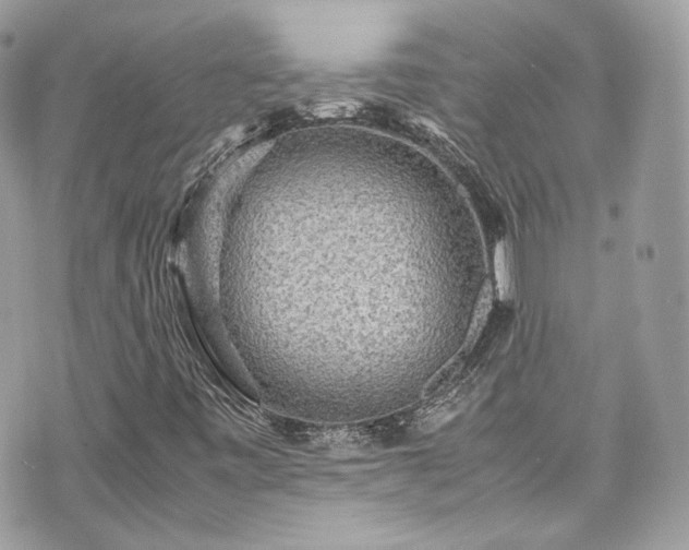 X0000070371443200606161305