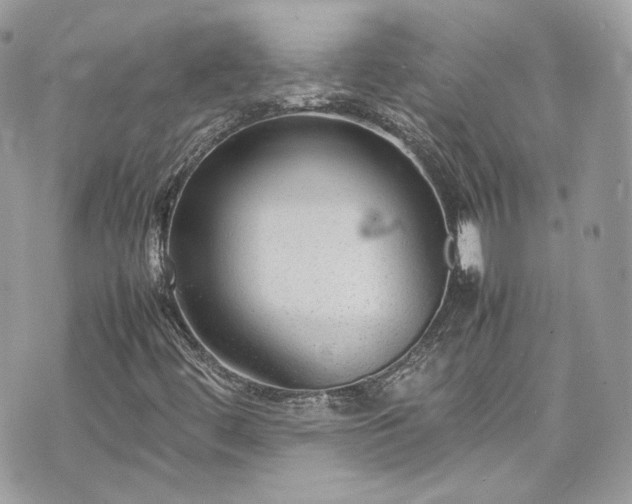 X0000070371444200606161305