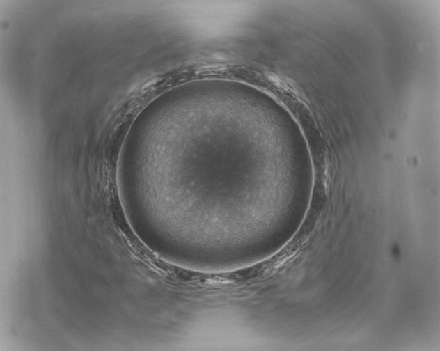 X0000070371445200606161305