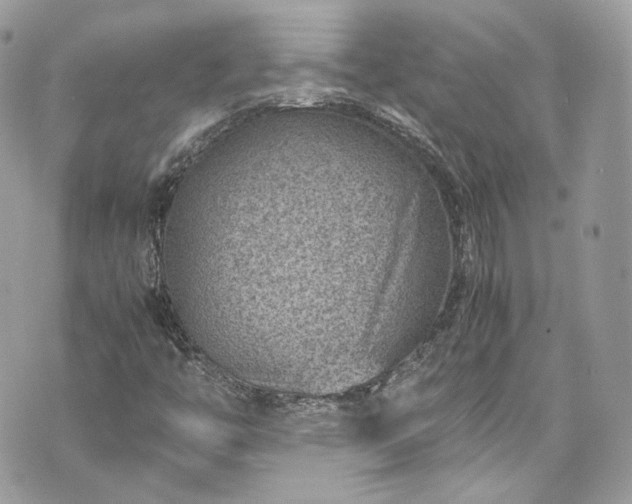 X0000070371446200606161305