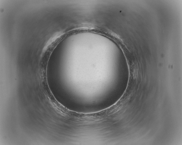 X0000070371448200606161305