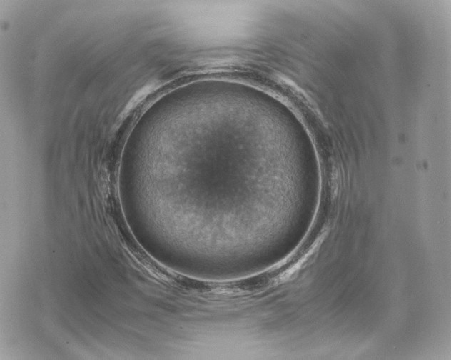 X0000070371449200606161305