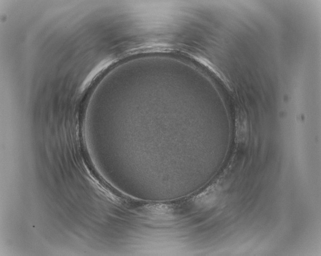 X0000070371450200606161305