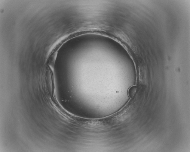 X0000070371452200606161305