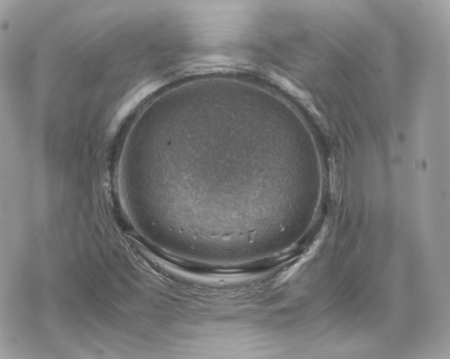 X0000070371453200606161305